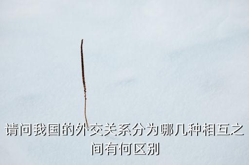 中國的伙伴關系