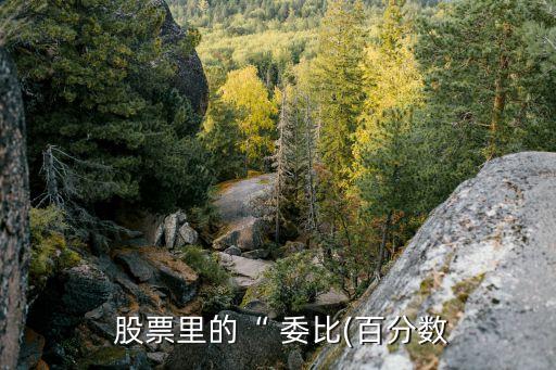  股票里的“ 委比(百分數