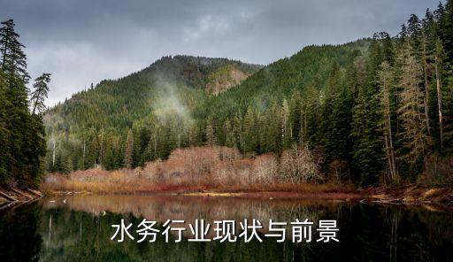 水務行業(yè)現狀與前景