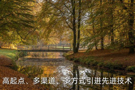 高起點、多渠道、多方式引進先進技術
