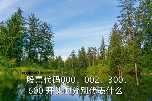  股票代碼000、002、300、600 開頭的分別代表什么