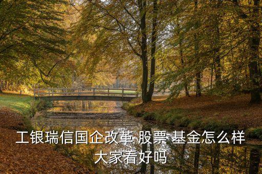 工銀瑞信國企改革 股票 基金怎么樣大家看好嗎