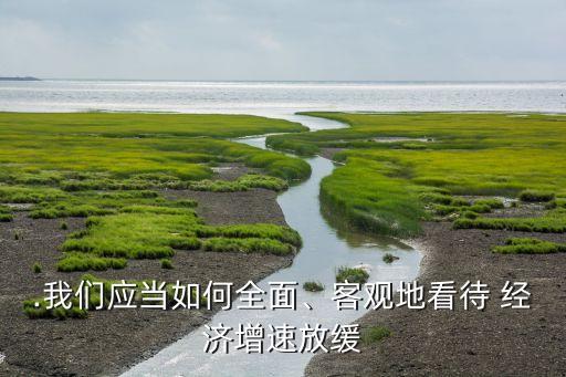 .我們應(yīng)當(dāng)如何全面、客觀地看待 經(jīng)濟(jì)增速放緩
