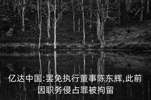 億達中國:罷免執(zhí)行董事陳東輝,此前因職務侵占罪被拘留