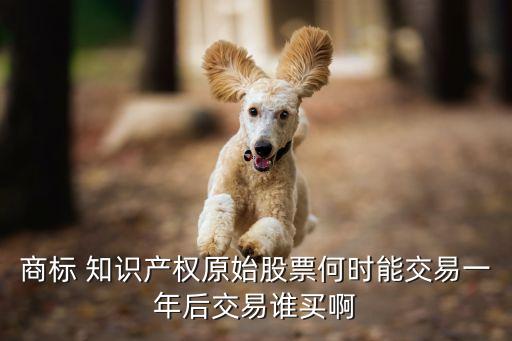 商標 知識產權原始股票何時能交易一年后交易誰買啊