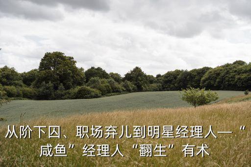 從階下囚、職場棄兒到明星經(jīng)理人—“咸魚”經(jīng)理人“翻生”有術(shù)