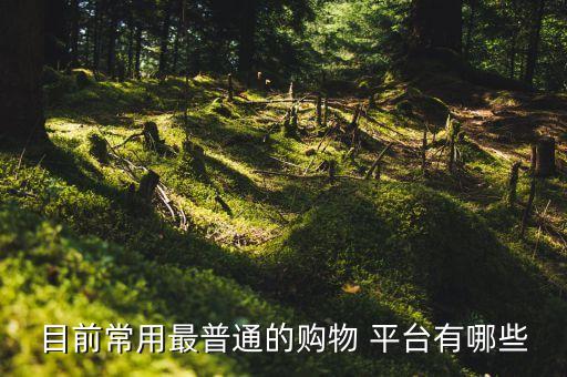 中國(guó)網(wǎng)絡(luò)零售平臺(tái),阿里巴巴屬于網(wǎng)絡(luò)零售平臺(tái)嗎