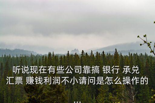聽說現(xiàn)在有些公司靠搞 銀行 承兌 匯票 賺錢利潤(rùn)不小請(qǐng)問是怎么操作的...