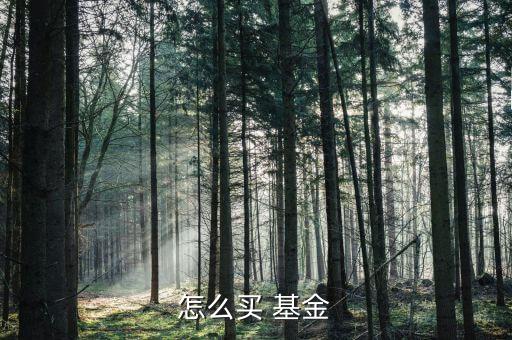 如何購(gòu)買(mǎi)建行貨幣基金,建行有貨幣基金嗎