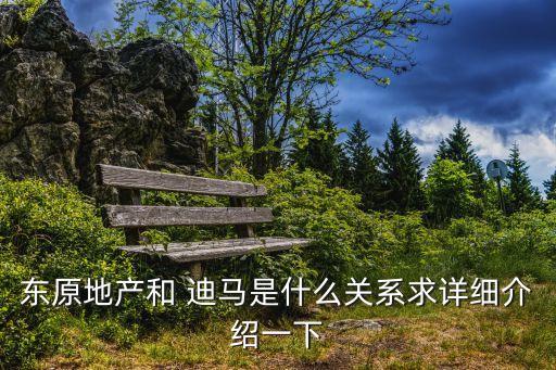 東原地產(chǎn)和 迪馬是什么關(guān)系求詳細介紹一下