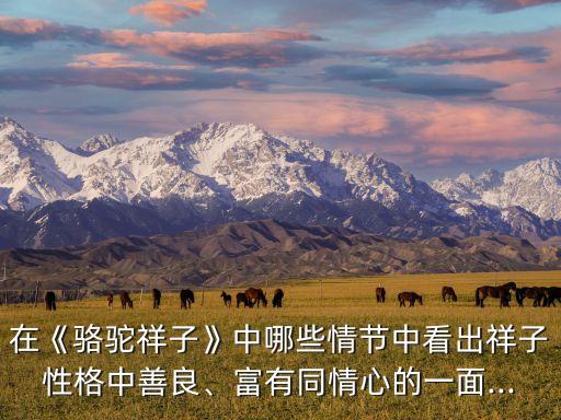 在《駱駝祥子》中哪些情節(jié)中看出祥子性格中善良、富有同情心的一面...