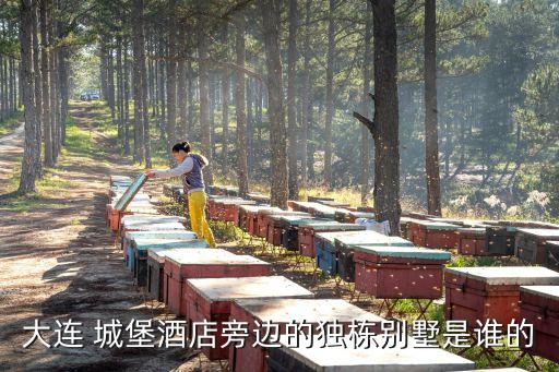美國城堡投資集團(tuán),城堡投資集團(tuán)對(duì)沖基金