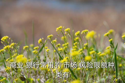 商業(yè) 銀行常用的 市場 風險限額種類有
