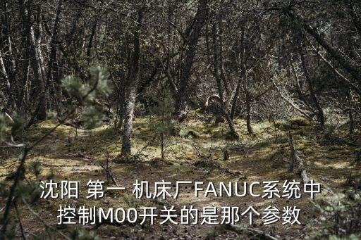 上海第一機床廠y225說明書