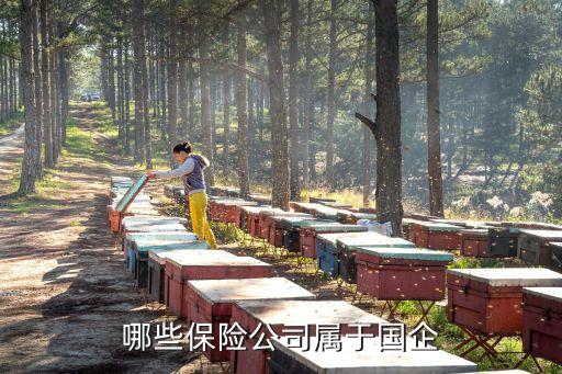 中國再保險(xiǎn)集團(tuán)董事會(huì)成員