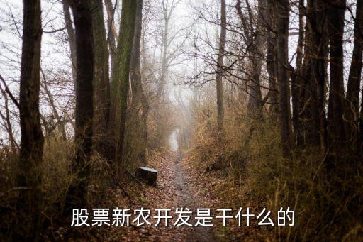  股票新農(nóng)開(kāi)發(fā)是干什么的