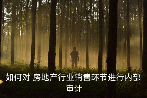如何對 房地產(chǎn)行業(yè)銷售環(huán)節(jié)進(jìn)行內(nèi)部 審計(jì)