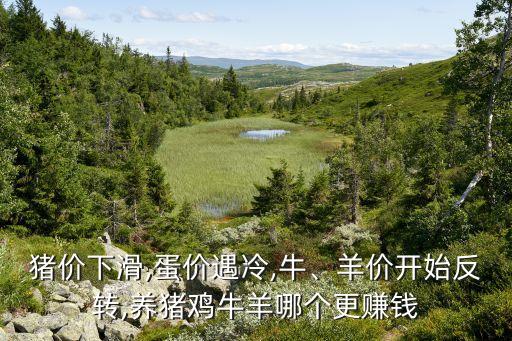 豬價下滑,蛋價遇冷,牛、羊價開始反轉(zhuǎn),養(yǎng)豬雞牛羊哪個更賺錢