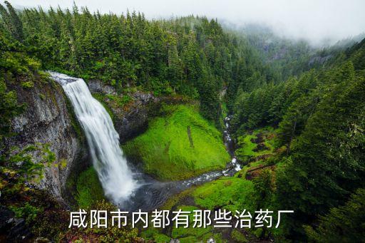 咸陽(yáng)市內(nèi)都有那些治藥廠(chǎng)