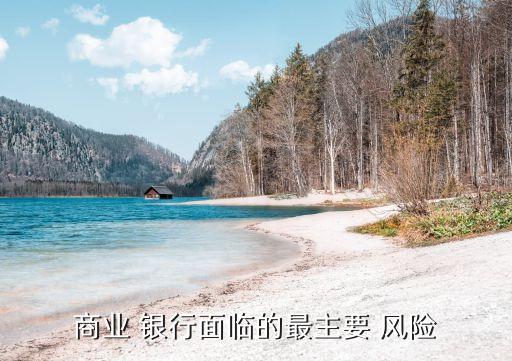 商業(yè) 銀行面臨的最主要 風險