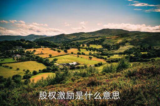 受限股票單位,流通受限的股票稱(chēng)為