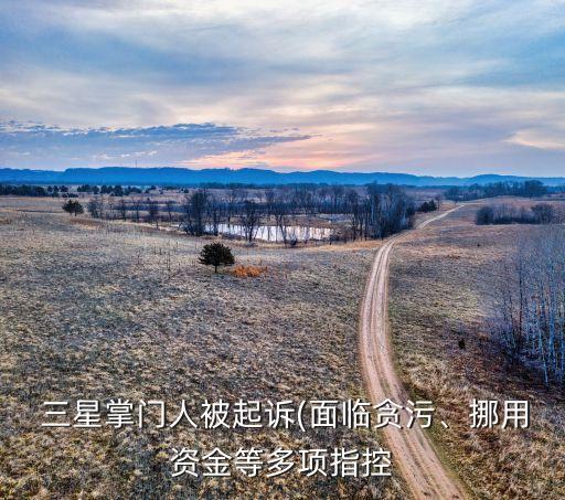  三星掌門人被起訴(面臨貪污、挪用資金等多項指控
