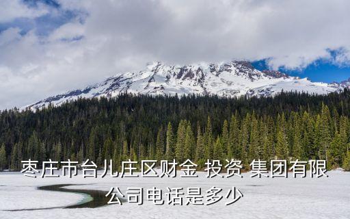 棗莊市臺兒莊區(qū)財金 投資 集團(tuán)有限公司電話是多少