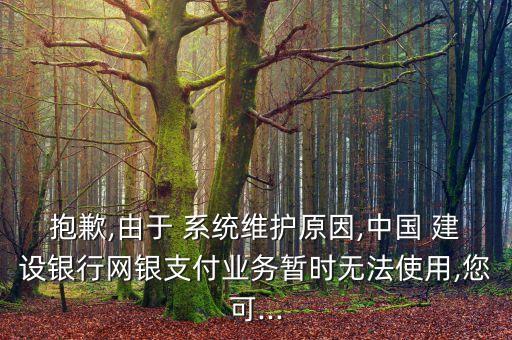 抱歉,由于 系統(tǒng)維護(hù)原因,中國(guó) 建設(shè)銀行網(wǎng)銀支付業(yè)務(wù)暫時(shí)無法使用,您可...