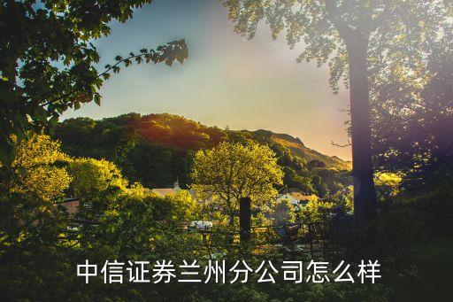 中信證券投資業(yè)務