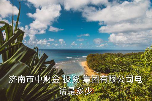 濟(jì)南市中財金 投資 集團(tuán)有限公司電話是多少