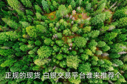 正規(guī)的現(xiàn)貨 白銀交易平臺(tái)誰來推薦個(gè)