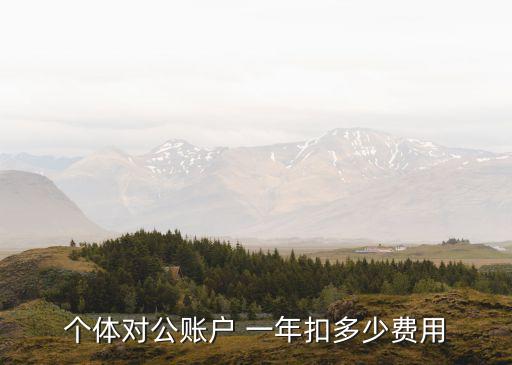 個體對公賬戶 一年扣多少費用
