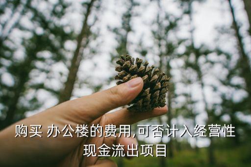 購買 辦公樓的費用,可否計入經營性現(xiàn)金流出項目