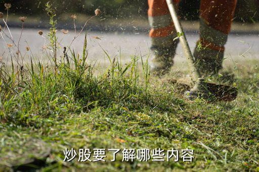 炒股要了解哪些內容
