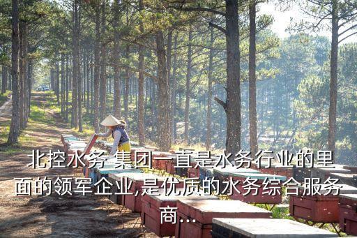  北控水務 集團一直是水務行業(yè)的里面的領(lǐng)軍企業(yè),是優(yōu)質(zhì)的水務綜合服務商...