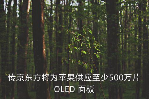 傳京東方將為蘋果供應(yīng)至少500萬(wàn)片OLED 面板