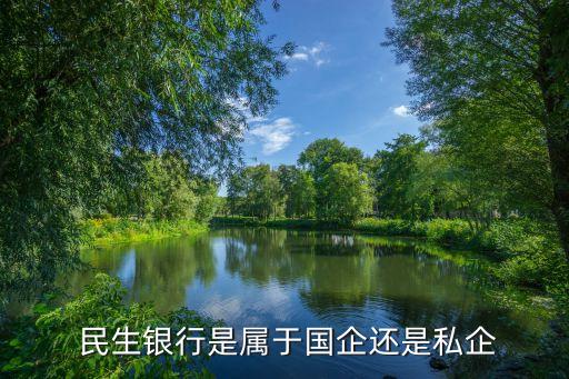  民生銀行是屬于國(guó)企還是私企