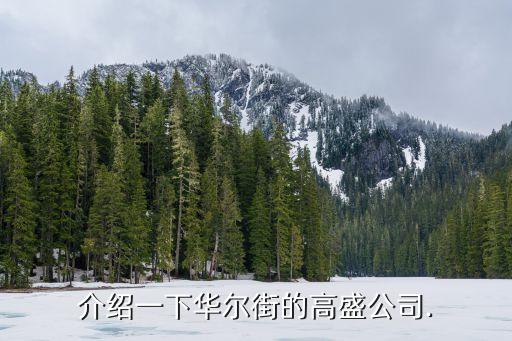 美國(guó)高盛集團(tuán)市值,高盛集團(tuán)市值是多少
