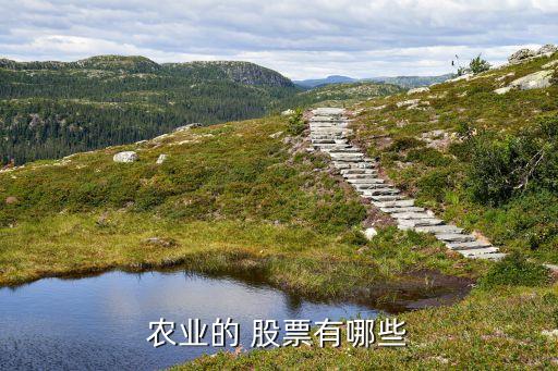 農業(yè)的 股票有哪些