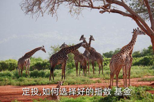 定投,如何選擇好的指數 基金