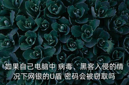 如果自己電腦中 病毒、黑客入侵的情況下網(wǎng)銀的U盾 密碼會(huì)被竊取嗎
