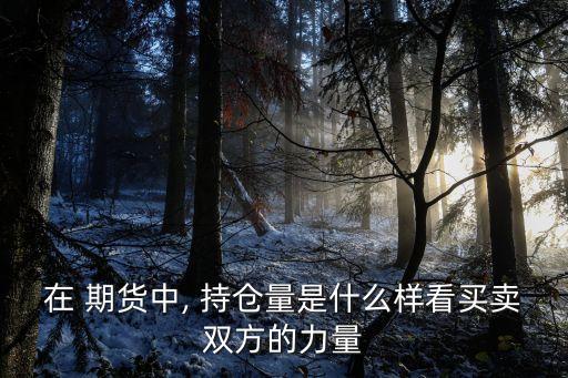 在 期貨中, 持倉(cāng)量是什么樣看買(mǎi)賣(mài)雙方的力量