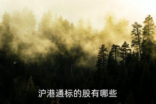 滬港通標的股有哪些