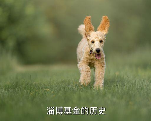 山東證券有限責(zé)任公司淄博營業(yè)部