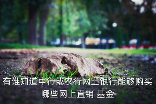 有誰知道中行或農(nóng)行網(wǎng)上銀行能夠購買哪些網(wǎng)上直銷 基金