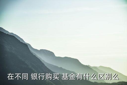 在不同 銀行購(gòu)買(mǎi) 基金有什么區(qū)別么