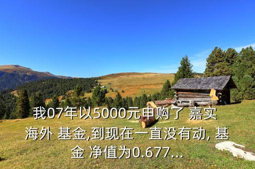 我07年以5000元申購了 嘉實(shí) 海外 基金,到現(xiàn)在一直沒有動, 基金 凈值為0.677...
