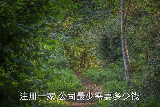 注冊(cè)一家 公司最少需要多少錢(qián)