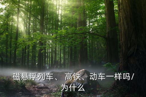  磁懸浮列車、 高鐵、動車一樣嗎/為什么