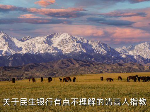 關于民生銀行有點不理解的請高人指教